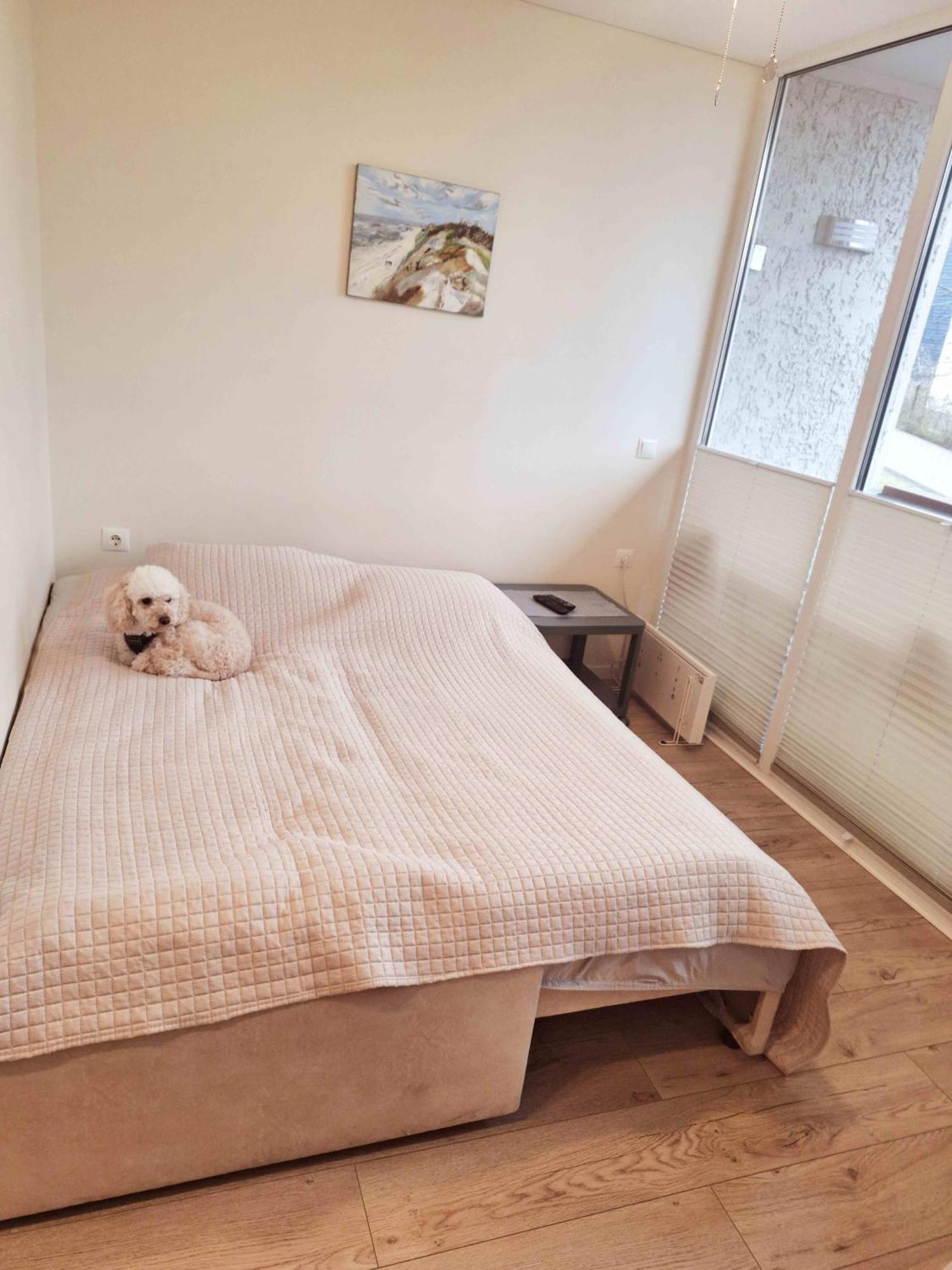 Ferienwohnung Santauta Juodkrantė Exterior foto